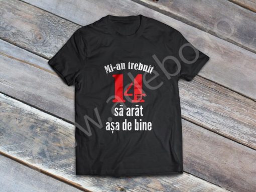 Tricou personalizat 14 ani - Mi-au trebuit