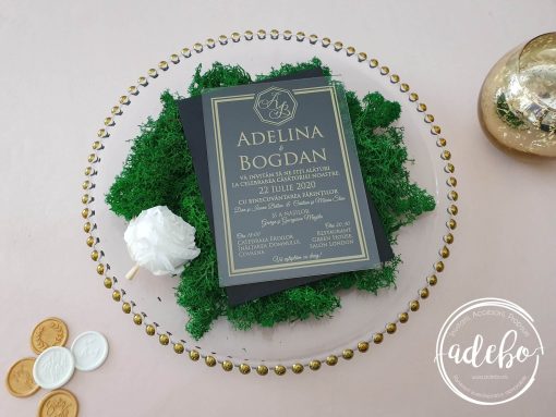 Invitatii nunta plexiglas - Gold Lines