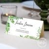 Plic Bani botez greenery